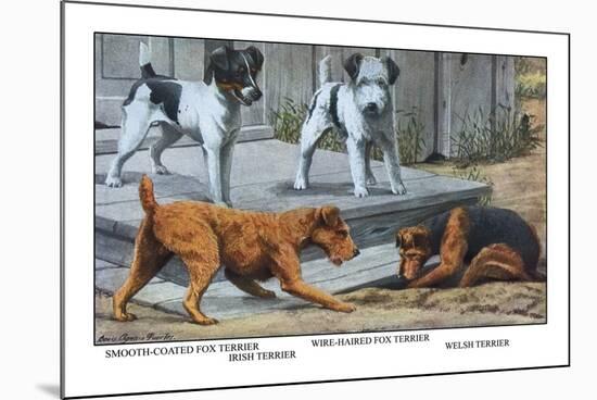 Fox Terrier-Louis Agassiz Fuertes-Mounted Premium Giclee Print