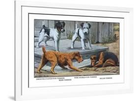 Fox Terrier-Louis Agassiz Fuertes-Framed Art Print