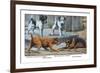 Fox Terrier-Louis Agassiz Fuertes-Framed Art Print