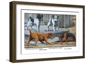 Fox Terrier-Louis Agassiz Fuertes-Framed Art Print