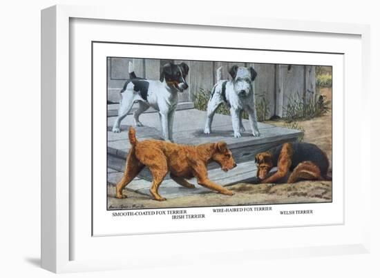 Fox Terrier-Louis Agassiz Fuertes-Framed Art Print