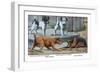 Fox Terrier-Louis Agassiz Fuertes-Framed Art Print