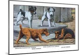 Fox Terrier-Louis Agassiz Fuertes-Mounted Art Print