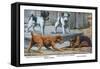 Fox Terrier-Louis Agassiz Fuertes-Framed Stretched Canvas