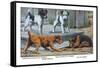 Fox Terrier-Louis Agassiz Fuertes-Framed Stretched Canvas