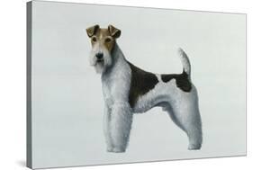 Fox Terrier-Harro Maass-Stretched Canvas