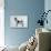 Fox Terrier-Harro Maass-Giclee Print displayed on a wall