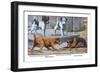 Fox Terrier-Louis Agassiz Fuertes-Framed Art Print