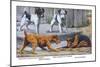 Fox Terrier-Louis Agassiz Fuertes-Mounted Art Print