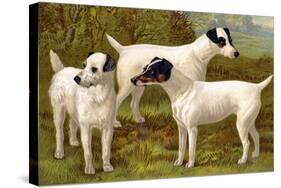 Fox Terriers-Vero Shaw-Stretched Canvas