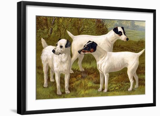 Fox Terriers-Vero Shaw-Framed Art Print