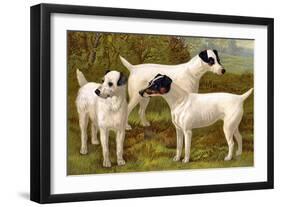 Fox Terriers-Vero Shaw-Framed Art Print
