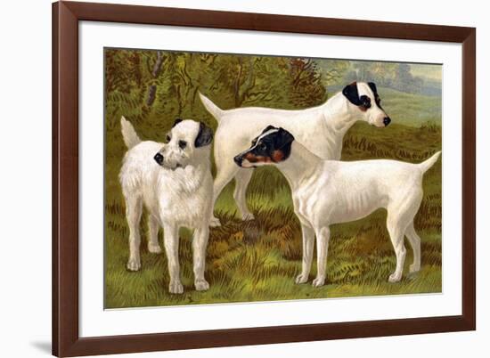 Fox Terriers-Vero Shaw-Framed Art Print