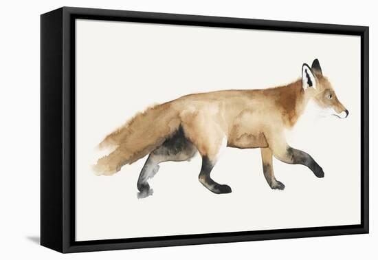 Fox Trot II-Grace Popp-Framed Stretched Canvas