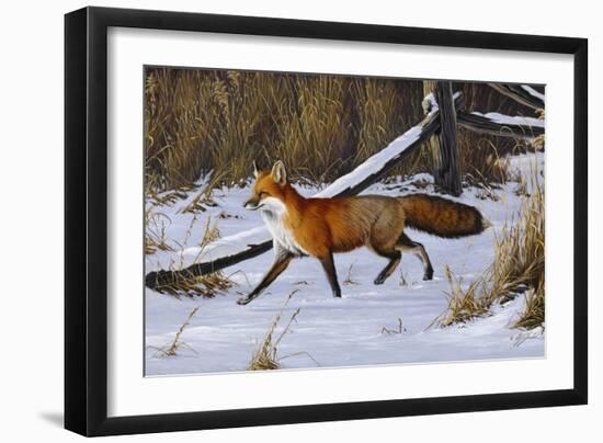 Fox Trot - Red Fox-Wilhelm Goebel-Framed Premium Giclee Print