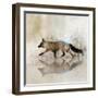 Fox Walk II-Ken Roko-Framed Art Print