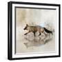 Fox Walk II-Ken Roko-Framed Art Print