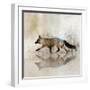 Fox Walk II-Ken Roko-Framed Art Print