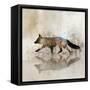 Fox Walk II-Ken Roko-Framed Stretched Canvas