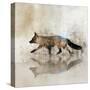 Fox Walk II-Ken Roko-Stretched Canvas