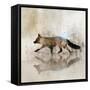 Fox Walk II-Ken Roko-Framed Stretched Canvas