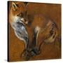 Fox with Legs Tied, by Alexandre-Francois Desportes (1661-1743), France, 18th Century-Alexandre-Francois Desportes-Stretched Canvas