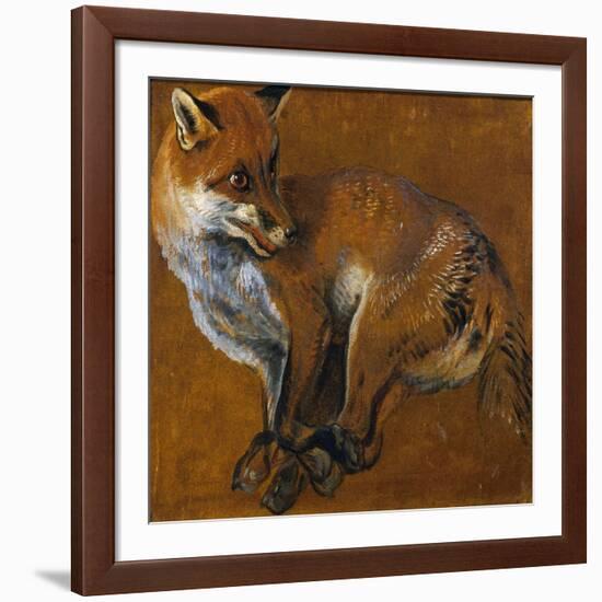 Fox with Legs Tied, by Alexandre-Francois Desportes (1661-1743), France, 18th Century-Alexandre-Francois Desportes-Framed Giclee Print