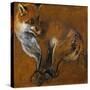 Fox with Legs Tied, by Alexandre-Francois Desportes (1661-1743), France, 18th Century-Alexandre-Francois Desportes-Stretched Canvas