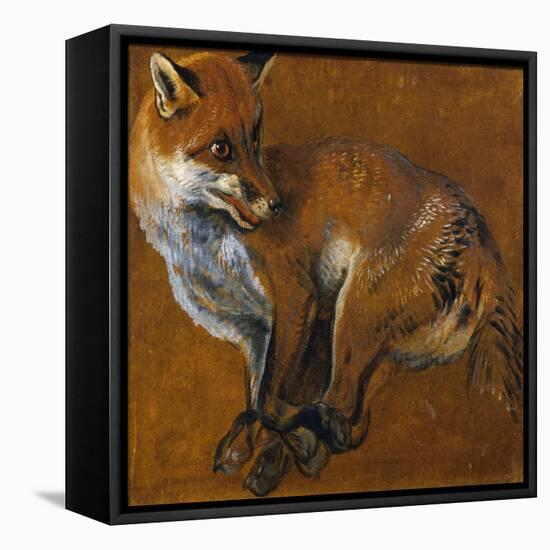 Fox with Legs Tied, by Alexandre-Francois Desportes (1661-1743), France, 18th Century-Alexandre-Francois Desportes-Framed Stretched Canvas