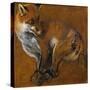 Fox with Legs Tied, by Alexandre-Francois Desportes (1661-1743), France, 18th Century-Alexandre-Francois Desportes-Stretched Canvas