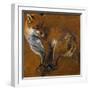Fox with Legs Tied, by Alexandre-Francois Desportes (1661-1743), France, 18th Century-Alexandre-Francois Desportes-Framed Giclee Print