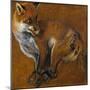 Fox with Legs Tied, by Alexandre-Francois Desportes (1661-1743), France, 18th Century-Alexandre-Francois Desportes-Mounted Giclee Print