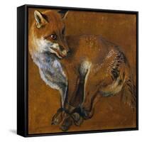 Fox with Legs Tied, by Alexandre-Francois Desportes (1661-1743), France, 18th Century-Alexandre-Francois Desportes-Framed Stretched Canvas