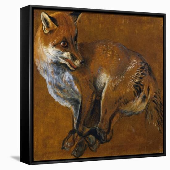 Fox with Legs Tied, by Alexandre-Francois Desportes (1661-1743), France, 18th Century-Alexandre-Francois Desportes-Framed Stretched Canvas