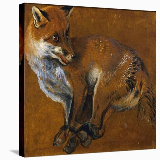 Fox with Legs Tied, by Alexandre-Francois Desportes (1661-1743), France, 18th Century-Alexandre-Francois Desportes-Stretched Canvas