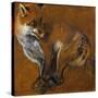 Fox with Legs Tied, by Alexandre-Francois Desportes (1661-1743), France, 18th Century-Alexandre-Francois Desportes-Stretched Canvas