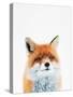 Fox-Tai Prints-Stretched Canvas