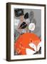 Fox-Rocket 68-Framed Giclee Print