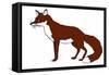 Fox-Sarah Thompson-Engels-Framed Stretched Canvas