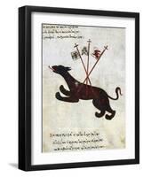 Fox-null-Framed Giclee Print