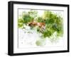 Fox-Chamira Young-Framed Art Print