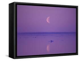 Foxe Basin, Baffin Island, Canadian Arctic, Canada-Stuart Westmoreland-Framed Stretched Canvas