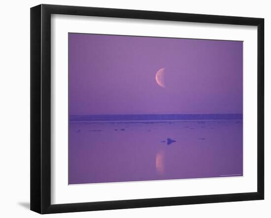 Foxe Basin, Baffin Island, Canadian Arctic, Canada-Stuart Westmoreland-Framed Photographic Print