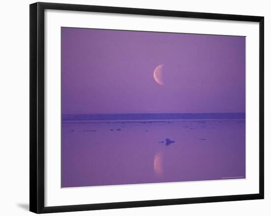 Foxe Basin, Baffin Island, Canadian Arctic, Canada-Stuart Westmoreland-Framed Photographic Print