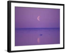 Foxe Basin, Baffin Island, Canadian Arctic, Canada-Stuart Westmoreland-Framed Photographic Print