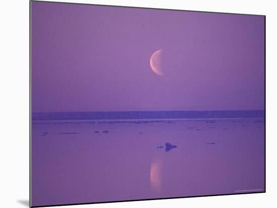 Foxe Basin, Baffin Island, Canadian Arctic, Canada-Stuart Westmoreland-Mounted Photographic Print