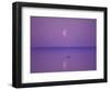 Foxe Basin, Baffin Island, Canadian Arctic, Canada-Stuart Westmoreland-Framed Photographic Print