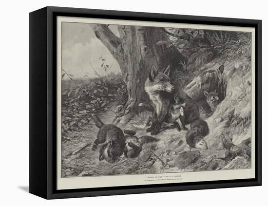 Foxes at Play-Carl Friedrich Deiker-Framed Stretched Canvas