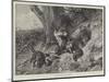 Foxes at Play-Carl Friedrich Deiker-Mounted Giclee Print