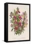 Foxglove (Digitalis Purpure) (Centr), C1885-null-Framed Stretched Canvas